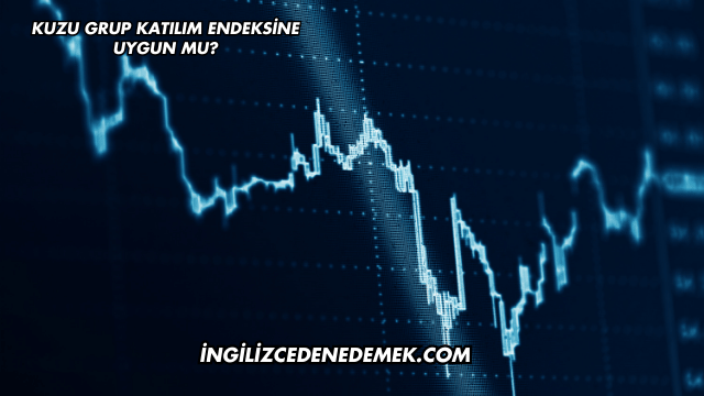 Kuzu Grup Katılım Endeksine Uygun mu?