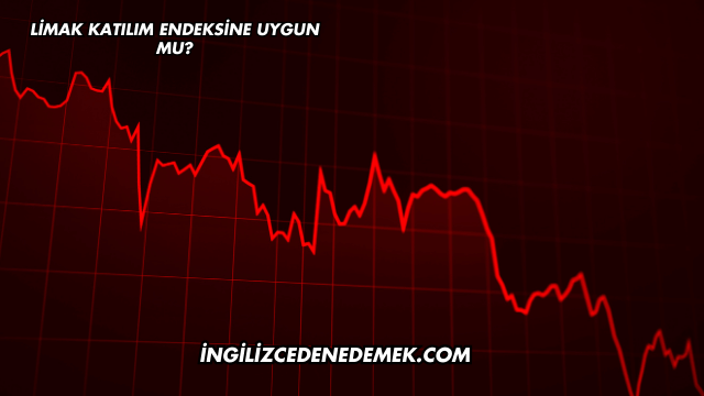 Limak Katılım Endeksine Uygun mu?
