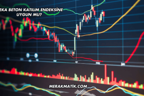 Meka Beton Katılım Endeksine Uygun mu?