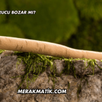 Misvak Orucu Bozar mı?