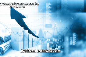 Mogan Enerji Katılım Endeksine Uygun mu?
