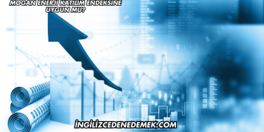 Mogan Enerji Katılım Endeksine Uygun mu?