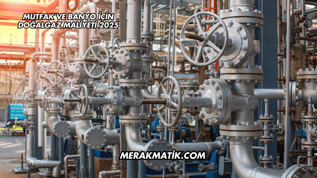 Mutfak ve Banyo İçin Doğalgaz Maliyeti 2025