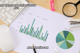 Naten Katılım Endeksine Uygun mu?