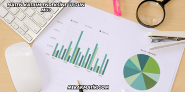 Naten Katılım Endeksine Uygun mu?