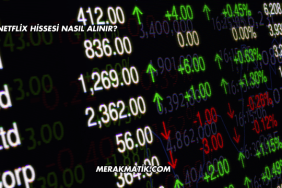 Netflix Hissesi Nasıl Alınır?