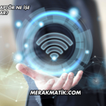 Next WiFi Adaptör Ne İşe Yarar?