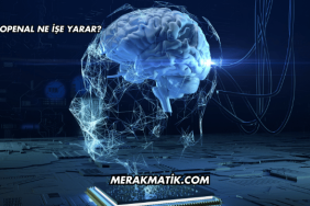 OpenAL Ne İşe Yarar?