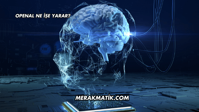 OpenAL Ne İşe Yarar?