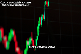 Özata Denizcilik Katılım Endeksine Uygun mu?