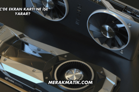 PC'de Ekran Kartı Ne İşe Yarar?