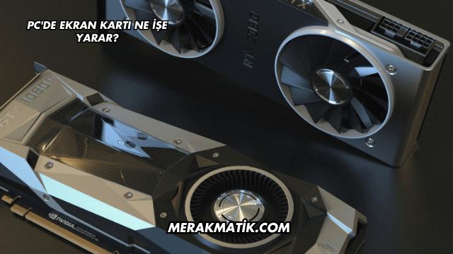 PC'de Ekran Kartı Ne İşe Yarar?