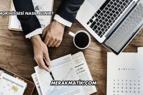 Pamuk Hissesi Nasıl Alınır?