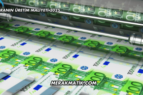 Paranın Üretim Maliyeti 2025