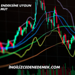 Patek Katılım Endeksine Uygun mu?