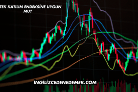 Patek Katılım Endeksine Uygun mu?