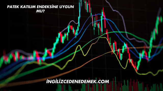 Patek Katılım Endeksine Uygun mu?