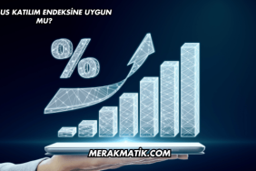 Pegasus Katılım Endeksine Uygun mu?