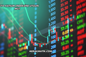 Pegyo Katılım Endeksine Uygun mu?