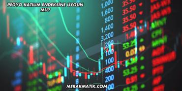 Pegyo Katılım Endeksine Uygun mu?
