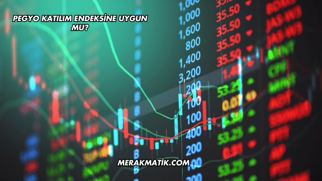 Pegyo Katılım Endeksine Uygun mu?