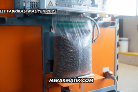 Pelet Fabrikası Maliyeti 2025