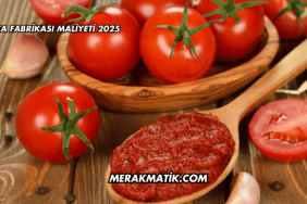 Salça Fabrikası Maliyeti 2025