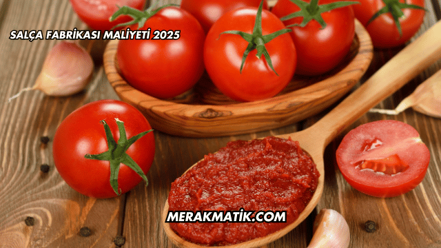 Salça Fabrikası Maliyeti 2025