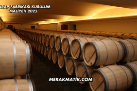 Şarap Fabrikası Kurulum Maliyeti 2025