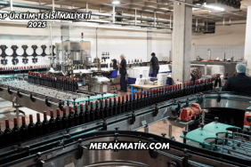 Şarap Üretim Tesisi Maliyeti 2025