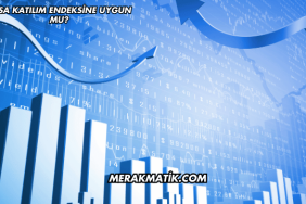 Sasa Katılım Endeksine Uygun mu?