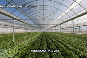 Sera Kurmanın Maliyeti 2025