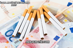 Sigara Maliyeti Hesaplama 2025