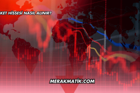 Şirket Hissesi Nasıl Alınır?