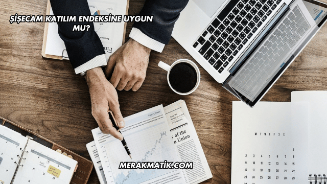 Şişecam Katılım Endeksine Uygun mu?