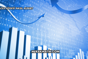 SpaceX Hissesi Nasıl Alınır?