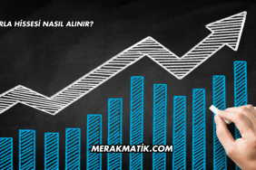 Tarla Hissesi Nasıl Alınır?