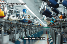 Taş Yünü Fabrikası Maliyeti 2025
