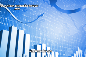 Taten Katılım Endeksine Uygun mu?