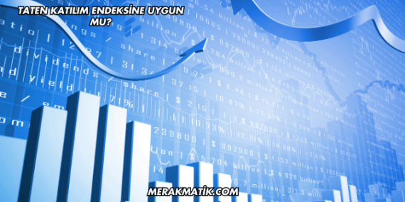Taten Katılım Endeksine Uygun mu?