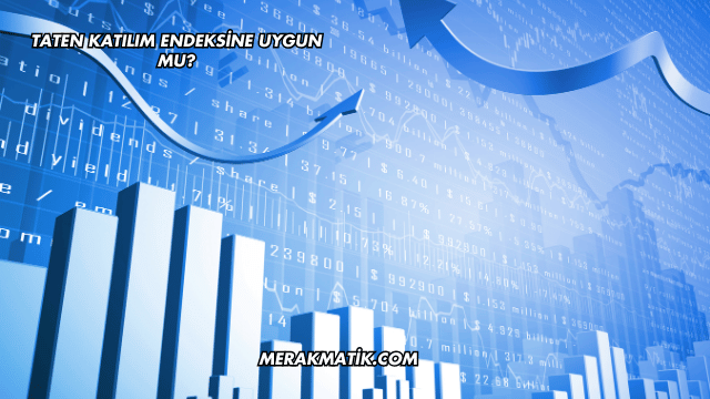 Taten Katılım Endeksine Uygun mu?