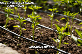 Toprak Altı Damlama Sulama Maliyeti 2025