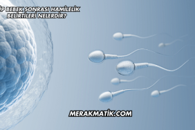 Tüp Bebek Sonrası Hamilelik Belirtileri Nelerdir?