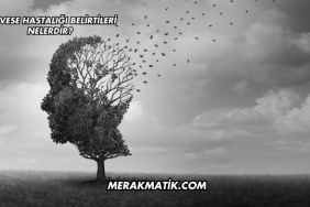 Vesvese Hastalığı Belirtileri Nelerdir?