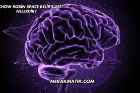 Virchow Robin Space Belirtileri Nelerdir?