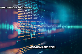 Yazılım Dilleri Ne İşe Yarar?