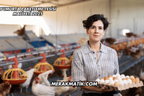 Yumurta Paketleme Tesisi Maliyeti 2025