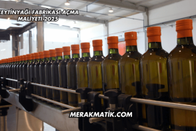 Zeytinyağı Fabrikası Açma Maliyeti 2025