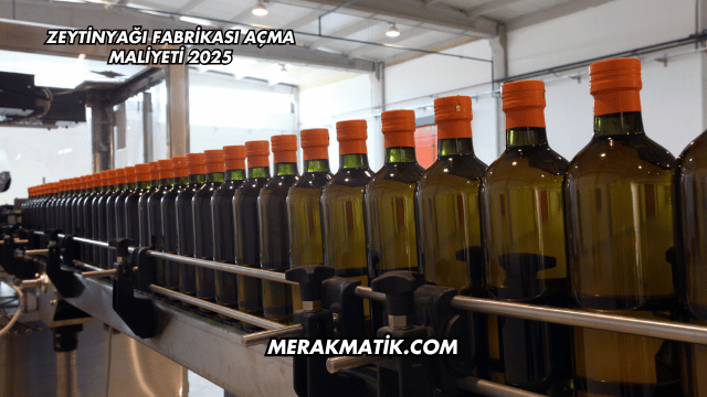 Zeytinyağı Fabrikası Açma Maliyeti 2025