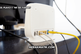 Zyxel PLA4211 Ne İşe Yarar?